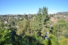 Enlarge photo 27