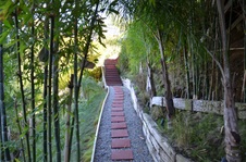 Enlarge photo 31