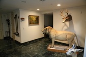 Enlarge photo 139