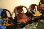 Enlarge photo 147