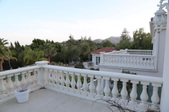 Enlarge photo 75