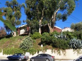 Enlarge photo 44