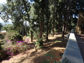 Enlarge photo 51