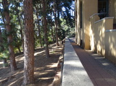 Enlarge photo 57