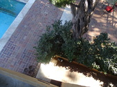 Enlarge photo 73