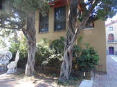 Enlarge photo 74