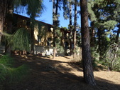 Enlarge photo 92