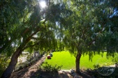 Enlarge photo 82
