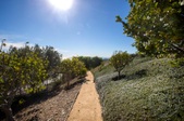 Enlarge photo 73