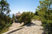 Enlarge photo 66