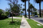 Enlarge photo 37