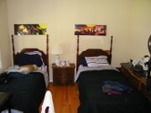 Enlarge photo 53