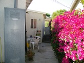 Enlarge photo 57