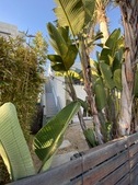 231 Linnie Canal Ct.