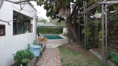 Enlarge photo 66