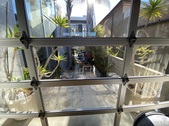 Enlarge photo 97