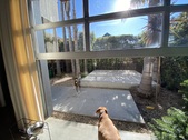 Enlarge photo 106