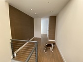 Enlarge photo 117