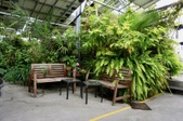 Enlarge photo 33