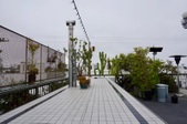 Enlarge photo 36