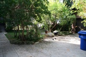 Enlarge photo 61