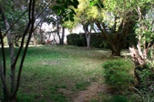 Enlarge photo 62