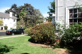 Enlarge photo 35