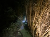 Enlarge photo 37
