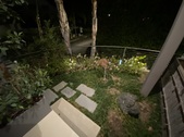 Enlarge photo 43