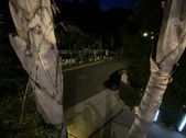 Enlarge photo 46