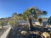 Enlarge photo 51