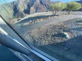 Enlarge photo 71