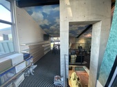 Enlarge photo 85