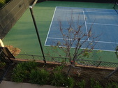 Enlarge photo 51