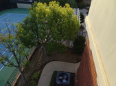 Enlarge photo 49