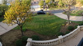 Enlarge photo 36