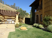 Enlarge photo 48