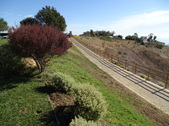 Enlarge photo 54