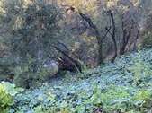Enlarge photo 54