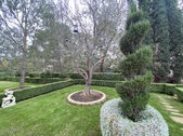 Enlarge photo 46