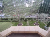 Enlarge photo 53