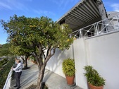 Enlarge photo 49