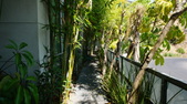 Enlarge photo 72