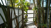 Enlarge photo 73