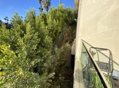 Enlarge photo 47