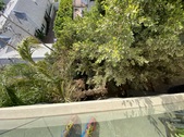 Enlarge photo 49