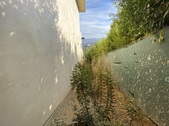 Enlarge photo 50