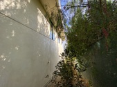 Enlarge photo 52