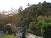 Enlarge photo 110
