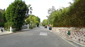 Enlarge photo 161